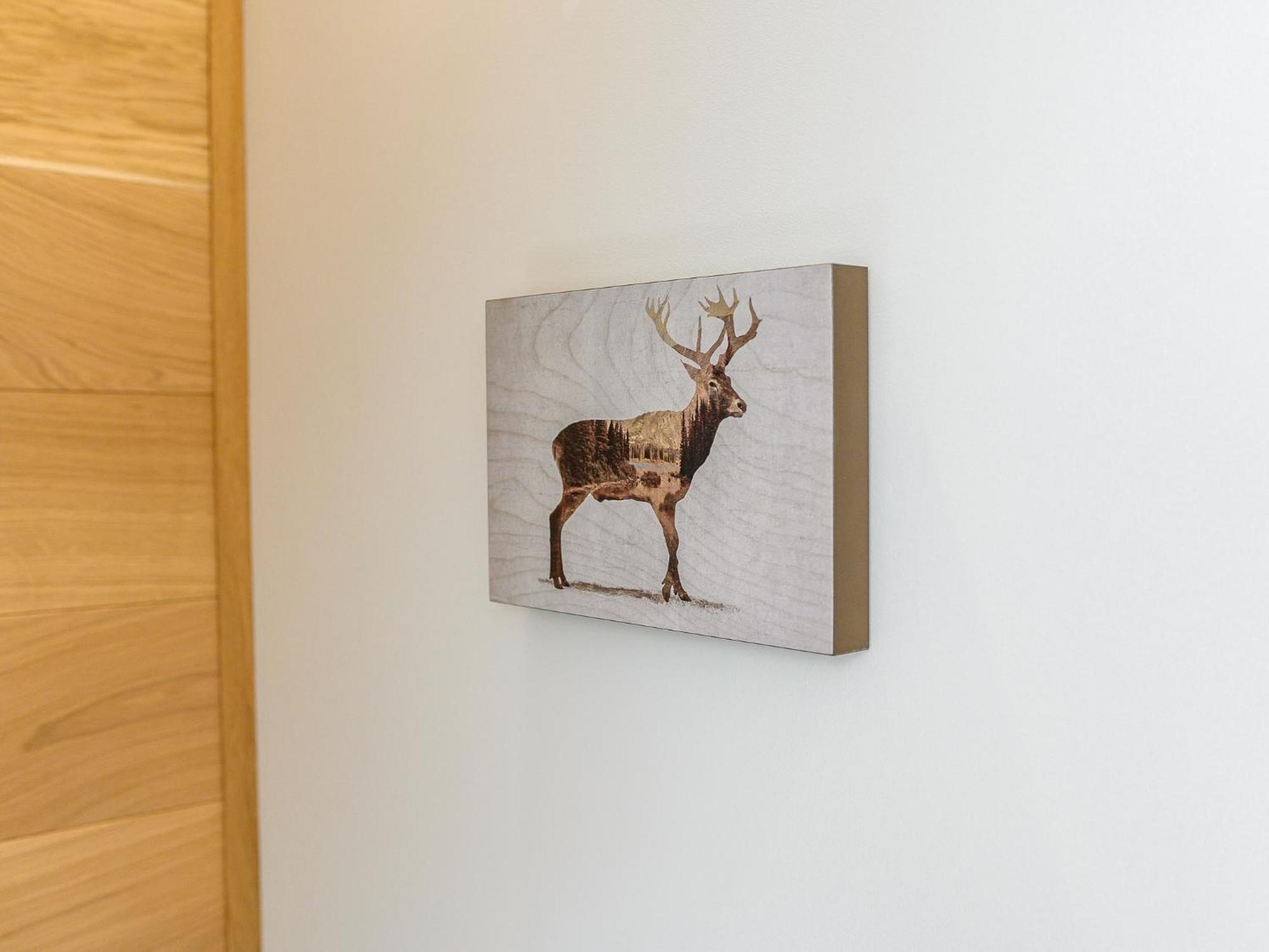 Visitzakopane - Montana Apartment エクステリア 写真